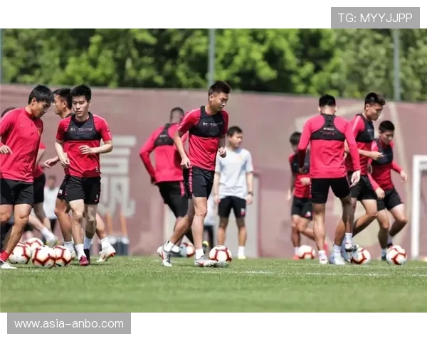 体育品牌加大综合格斗装备研发投入，推出专项训练与比赛产品